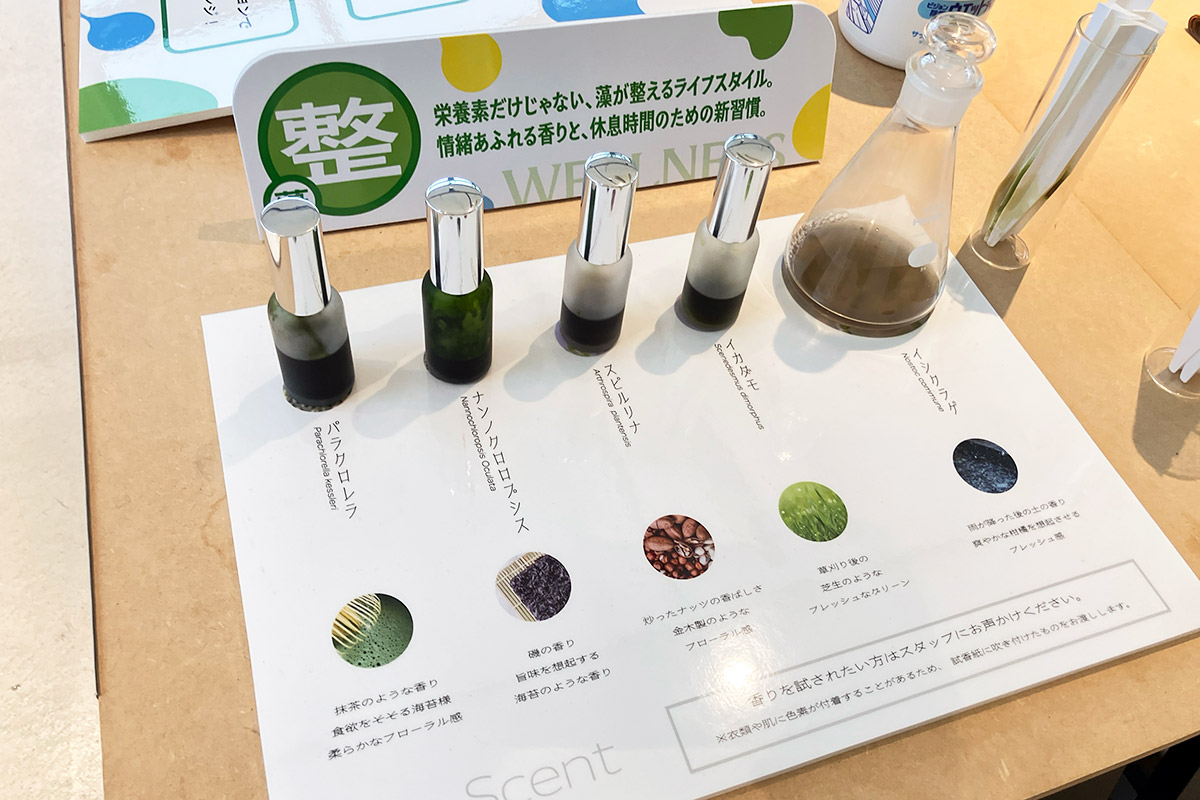 まずは、微細藻類の香りを体験