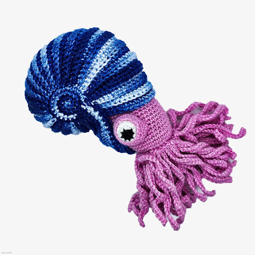 《Ammonites 2024-2025》
アンモナイトたち
Maima Tani
糸、布
8.5 x 12 cm