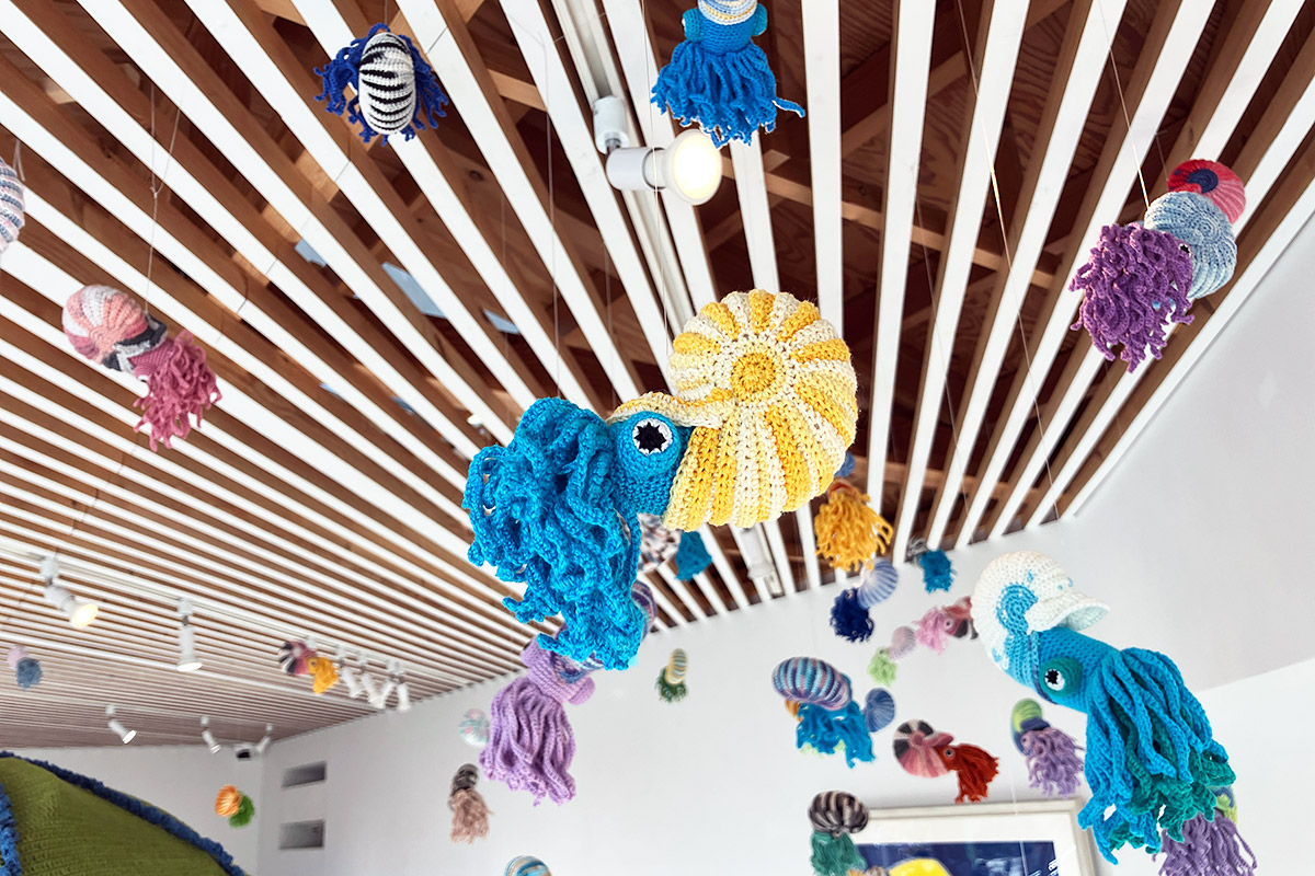 そして、天井からはたくさんのアンモナイトが。フィンランドのアーティスト、マイマ・タニさんの作品です
