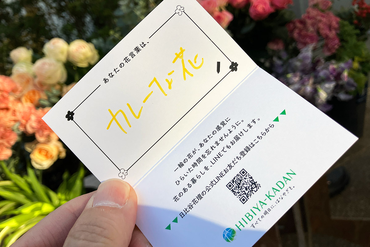 この花束に名前をつけてくださいとのことで、「華麗な花」ならぬ「カレーな花」に。いや、もうADDAのカレーの匂いで繊細なお花の香りが全然分からなかったからー。でも、すてきな組み合わせになりました、こんな選び方も面白いですね