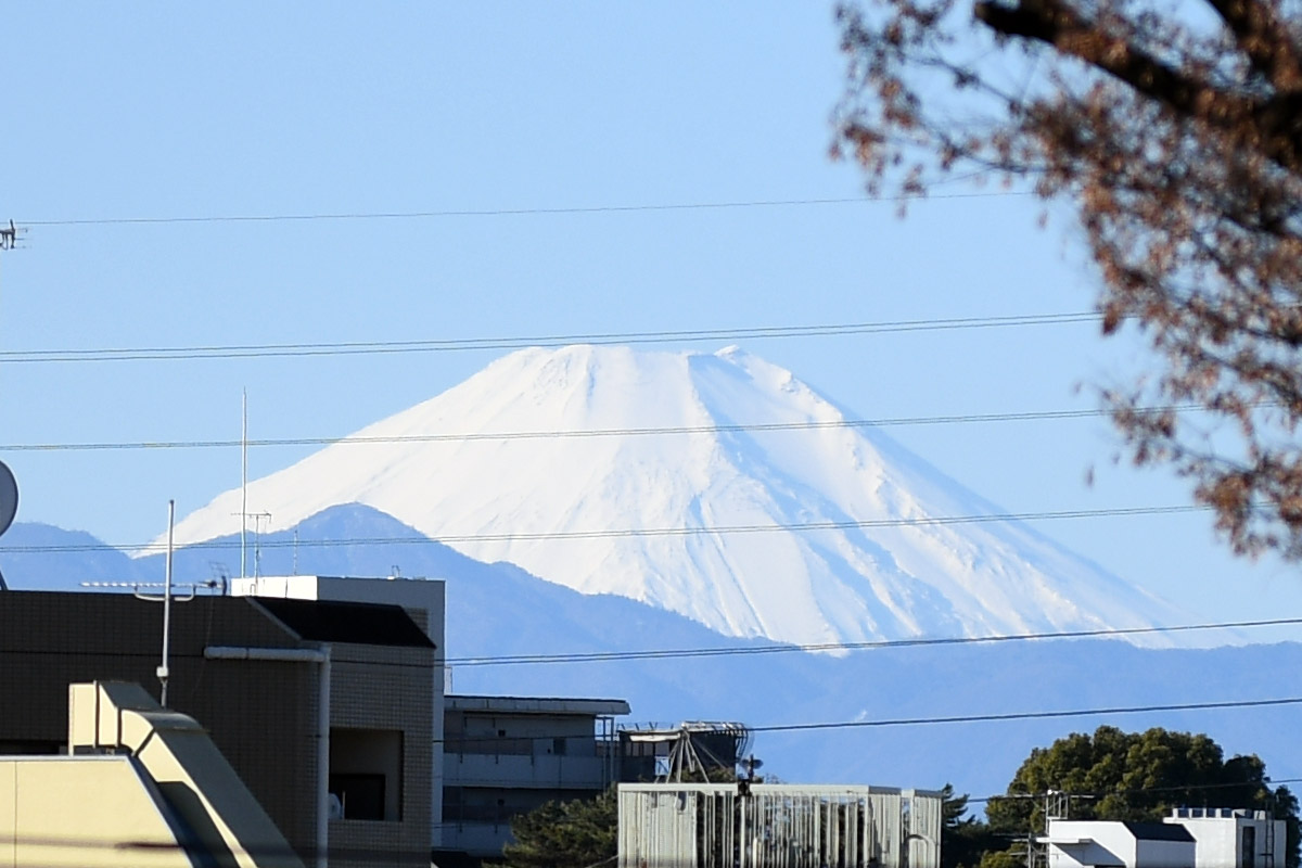 ちゃんとしたカメラで撮ってみた、真っ白です