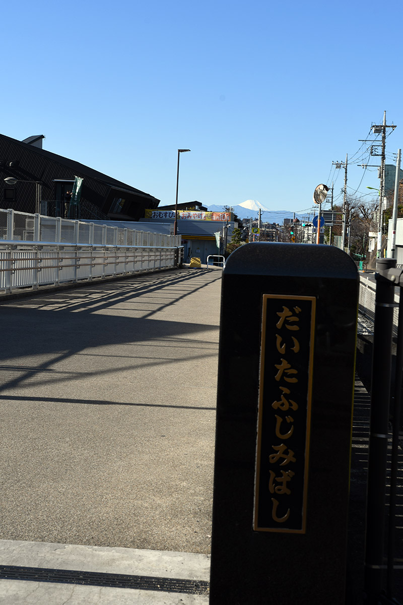 代田富士見橋からもちろん見えました