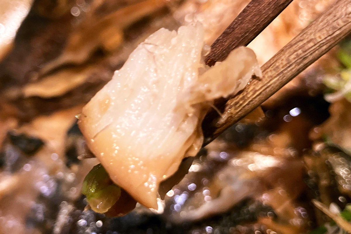 いやー、こんな身がぎっしりなんです!