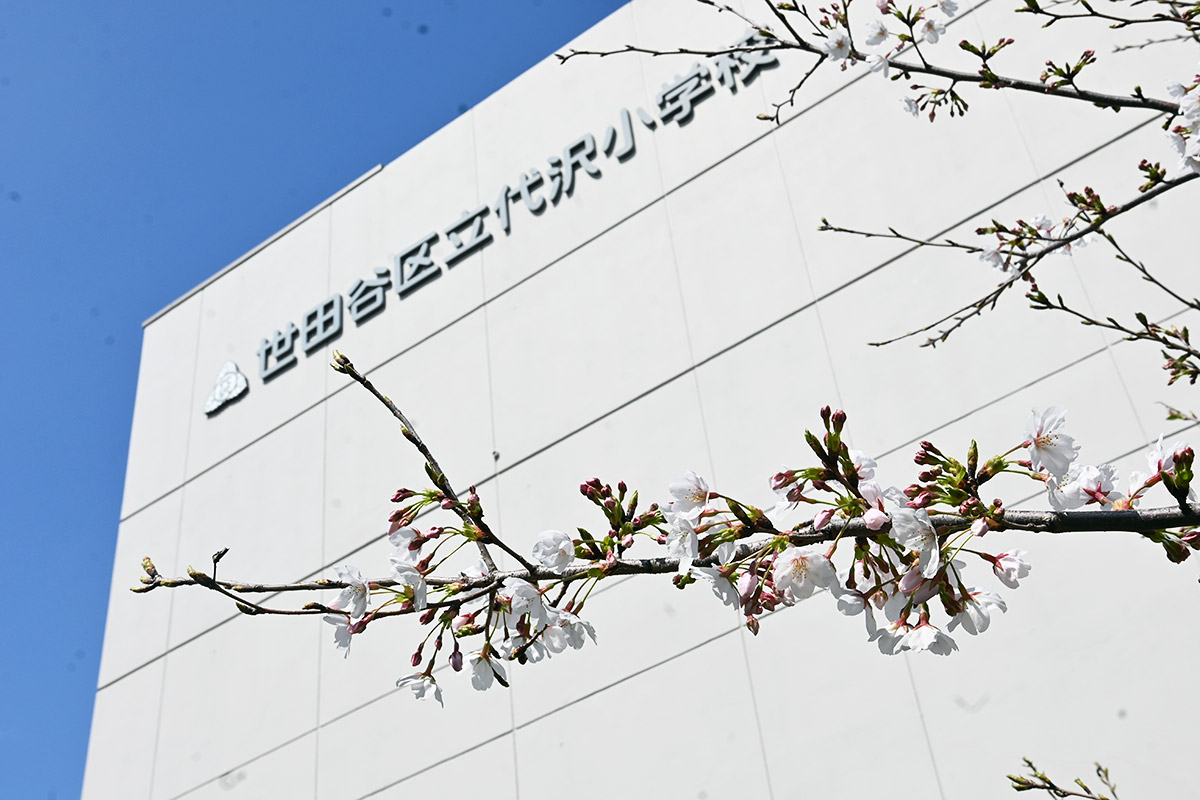 2026年3月27日の北沢川緑道