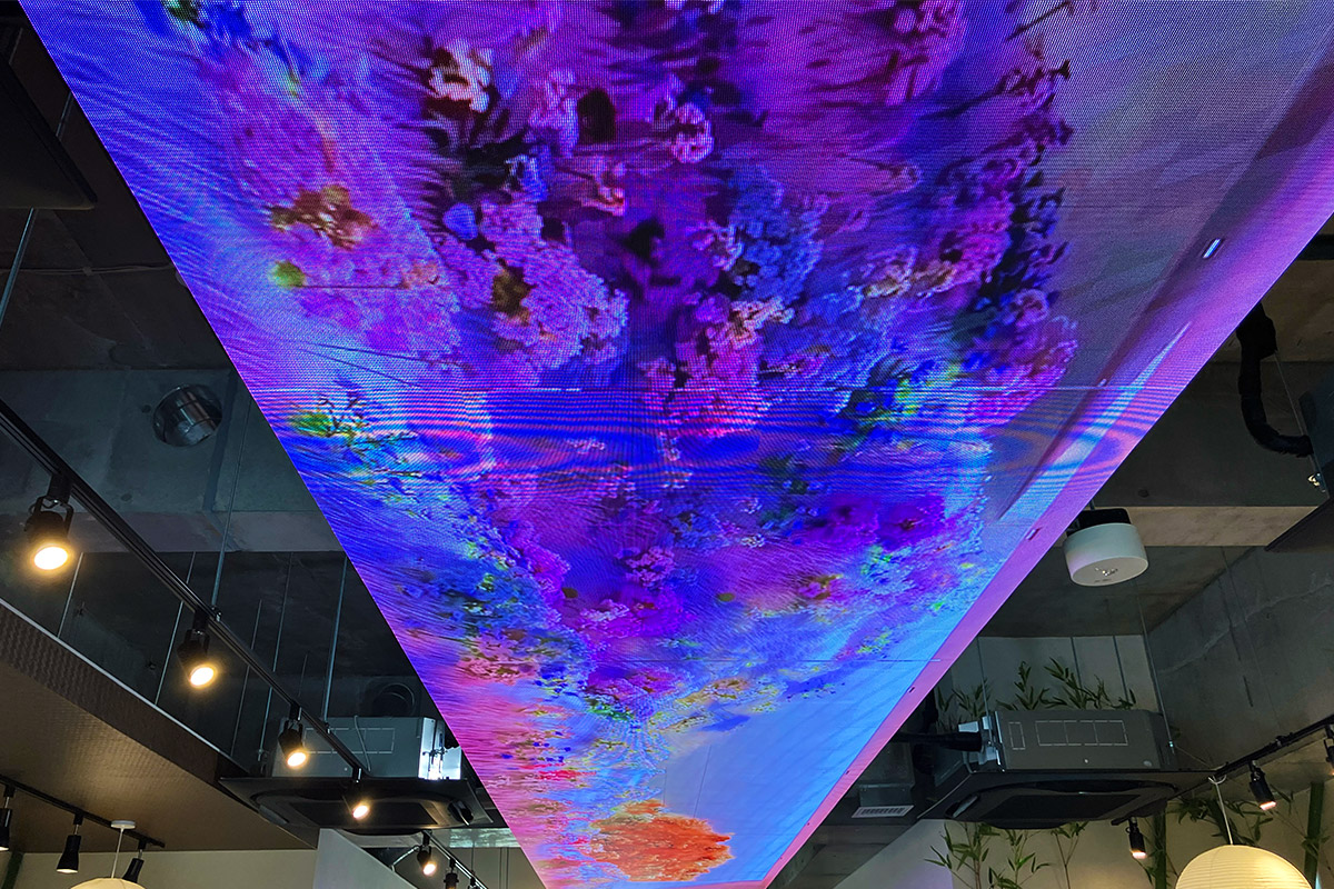店内中央の天井には、鮮やかな映像が映し出されています