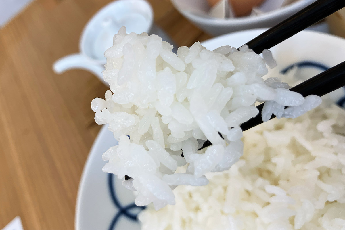 まずはご飯を一口。お米が美味しい国に生まれてよかった