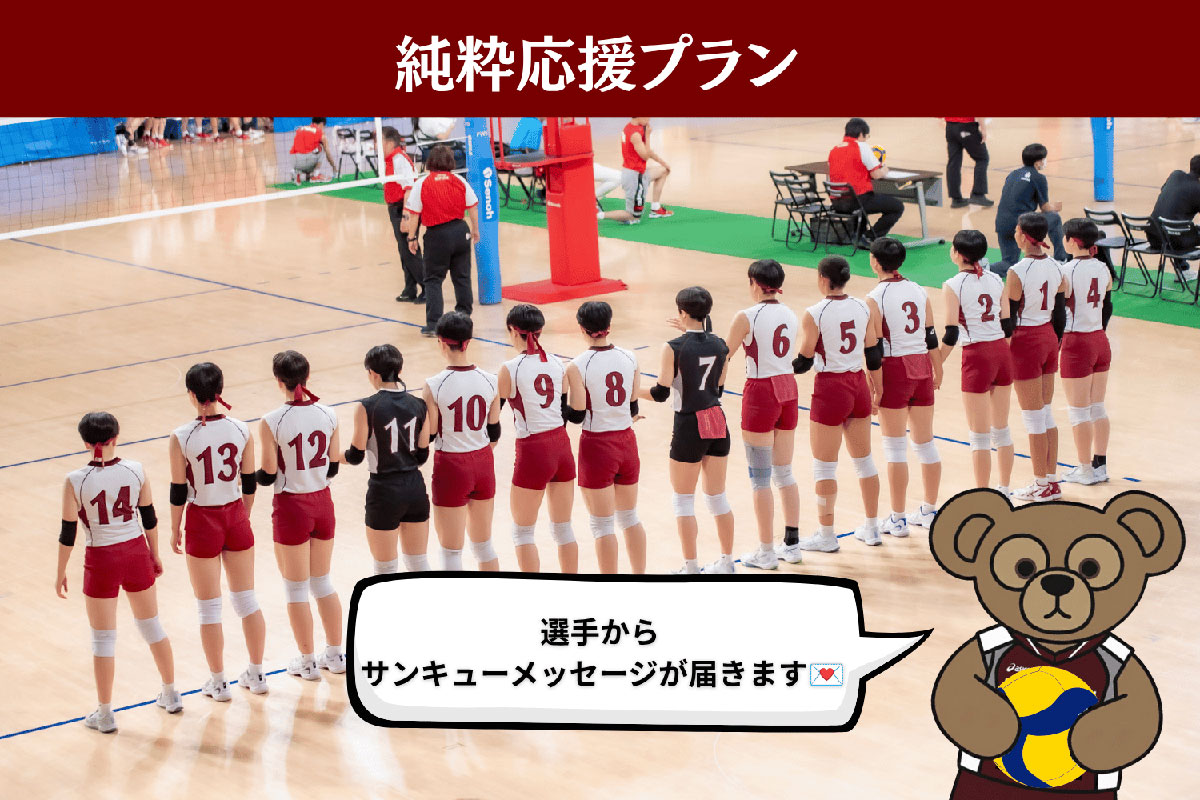 純粋応援プラン