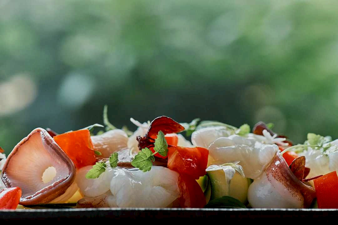 「水蛸フルーツトマトハーブカルパッチョ」