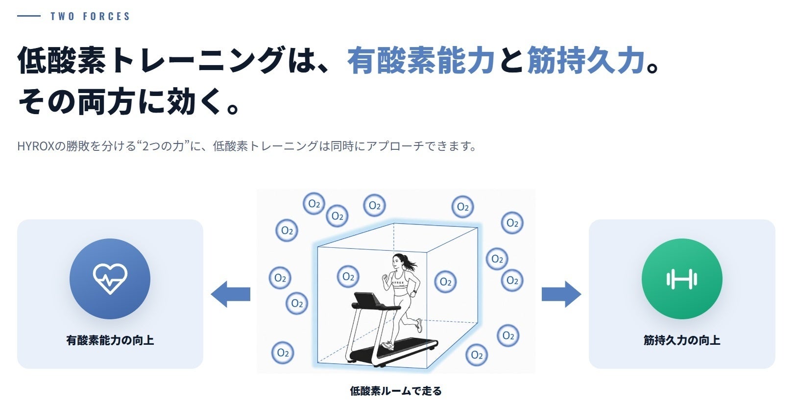 HYROXの有酸素と筋持久力の説明