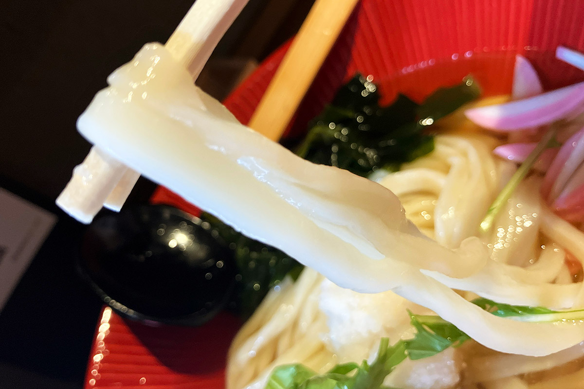 続いておうどんも味わいましょう