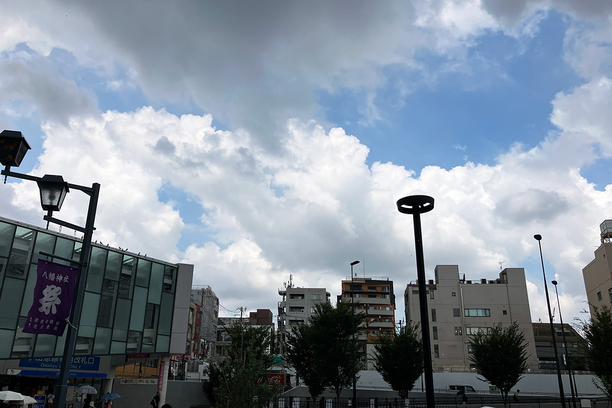 予報には全くなかった雨が降ってきた