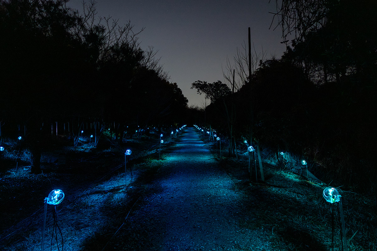 岸 裕真+竹森 達也「Botanical Intelligence: Moon Edition」
Photo by Naoki Takehisa