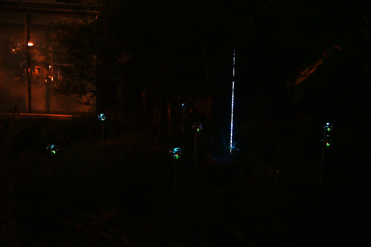 Botanical Intelligence: Moon Edition － 岸 裕真+竹森 達也